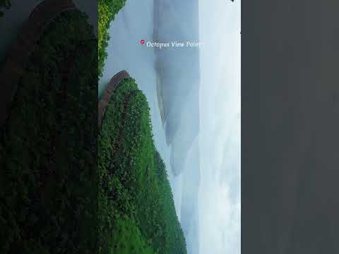 #srisailam #octopusviewpoint #srisailamtemple #youtubeshorts #shortvideo #shorts #telugushorts #fyp