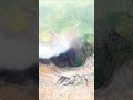 Skydive ️ WhatsApp Status ️ Adventure Skydiving Palapala Ayanmovie Tamilsong
