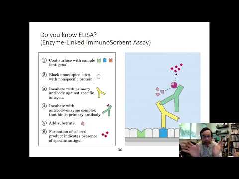 Structural Immunology (3b of 6): Anti-Cancer and Anti-COVID Antibodies Made by Phage Display