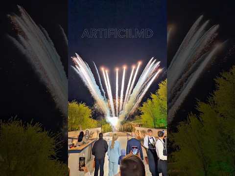 Spectacol de artificii (video scurt) 