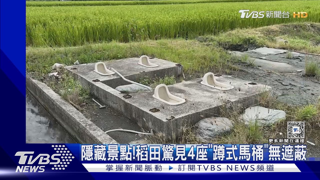 隱藏景點! 稻田驚見4座「蹲式馬桶」無遮蔽