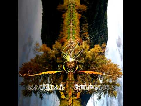 Cyber Motion - Nirvana