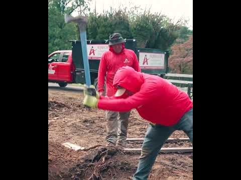 Aquilante — Landscaping & Hardscaping Project