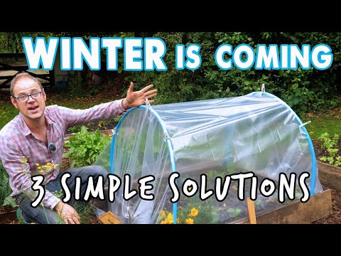 3 Thrifty Ways To Keep Plants Cozy This Winter! 🥶