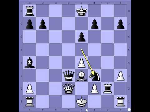 Šahovska taktika uklanjanje branioca -  ŠUBARIĆ vs TRIFUNOVIĆ - Damin gambit  # 389