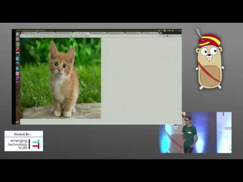 Day 2 - 4. Daniel Whitenack - Go Stdlib and Data Science