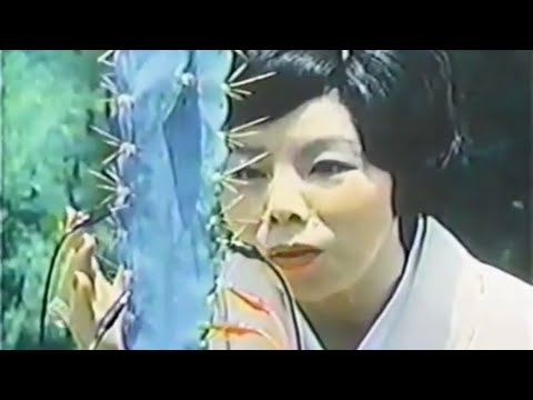 The Secret Life of Plants