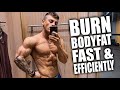 How To Burn Stubborn Body Fat In 14 Days *my experience*