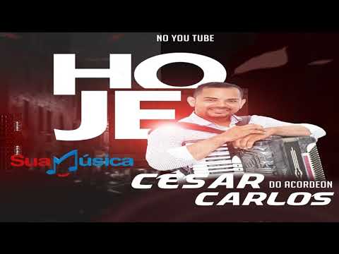 CESAR CARLOS DO ACORDEON - FORRO PRA PAREDÃO 2K20