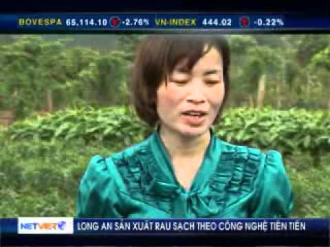OPEN VN: Việt Nam hội nhập và phát triển bền vững (7/3/2012)