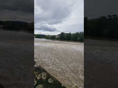 La situazione del fiume Arno