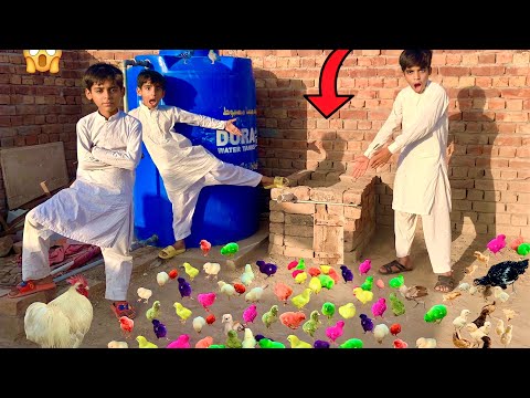 Bacho ny cage bna dala. 😳 ||How To Make Chicks Cage Setup at home