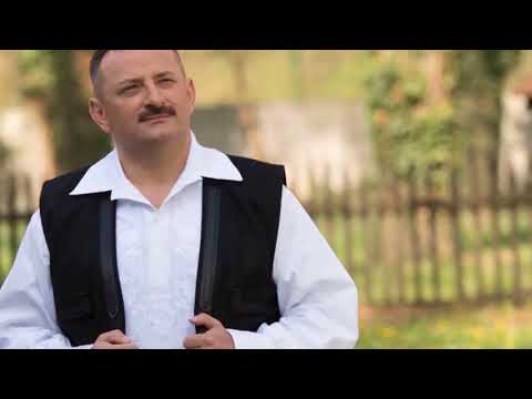 Dumitru Teleaga - Ard-o focu de oglinda