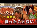 スコーピオン地獄に悶絶!新宿の激辛新聖地で超激辛ぎょうざ&おにぎりに連続挑戦!!