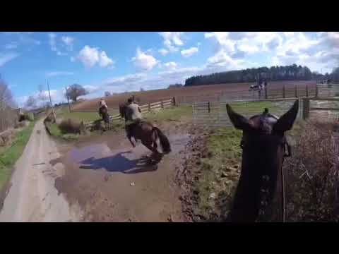 Portman Hunt 26/3/18