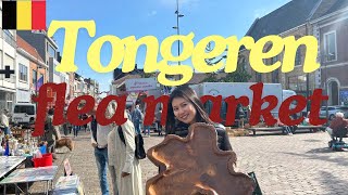 【良品揃いな蚤の市】激安ベルギー食器/値段公開/Tongeren Flea Market/アンティーク/ ベネルクス最大 #購入品紹介 #ドンゲレン #ベルギー