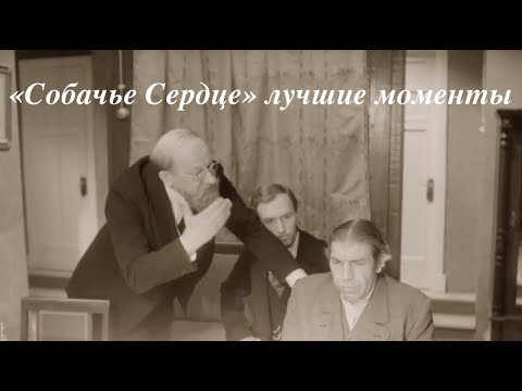 Собачье Сердце [лучшие моменты]