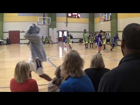 Coastal Purple Raiders v Capital City Vipers