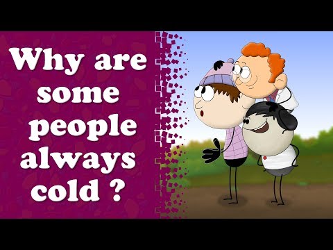 Why are some people always cold? + more videos | #aumsum #kids #science #education #whatif