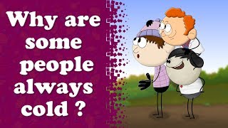 Why are some people always cold? + more videos | #aumsum #kids #science #education #whatif