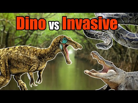 Could Baryonyx Survive the Everglades? - Survival Analysis & Speculative Evolution