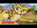 La Guardia del León: Momentos Especiales - El rescate de Fuli | Disney Junior Oficial