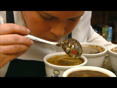 How It's Actually Made - Coffee