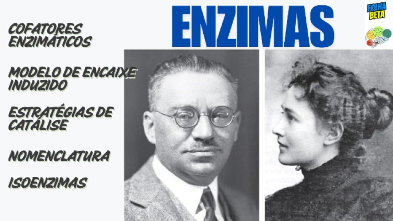 Enzimas, generalidades