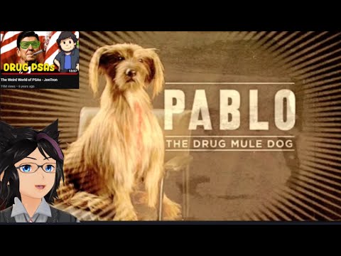 "The Weird World of PSAs" | Kip Reacts to JonTronShow