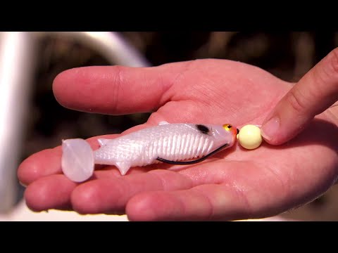 IFISH - The only plastic you'll ever need! Barra Lodge with Casey Stoner!