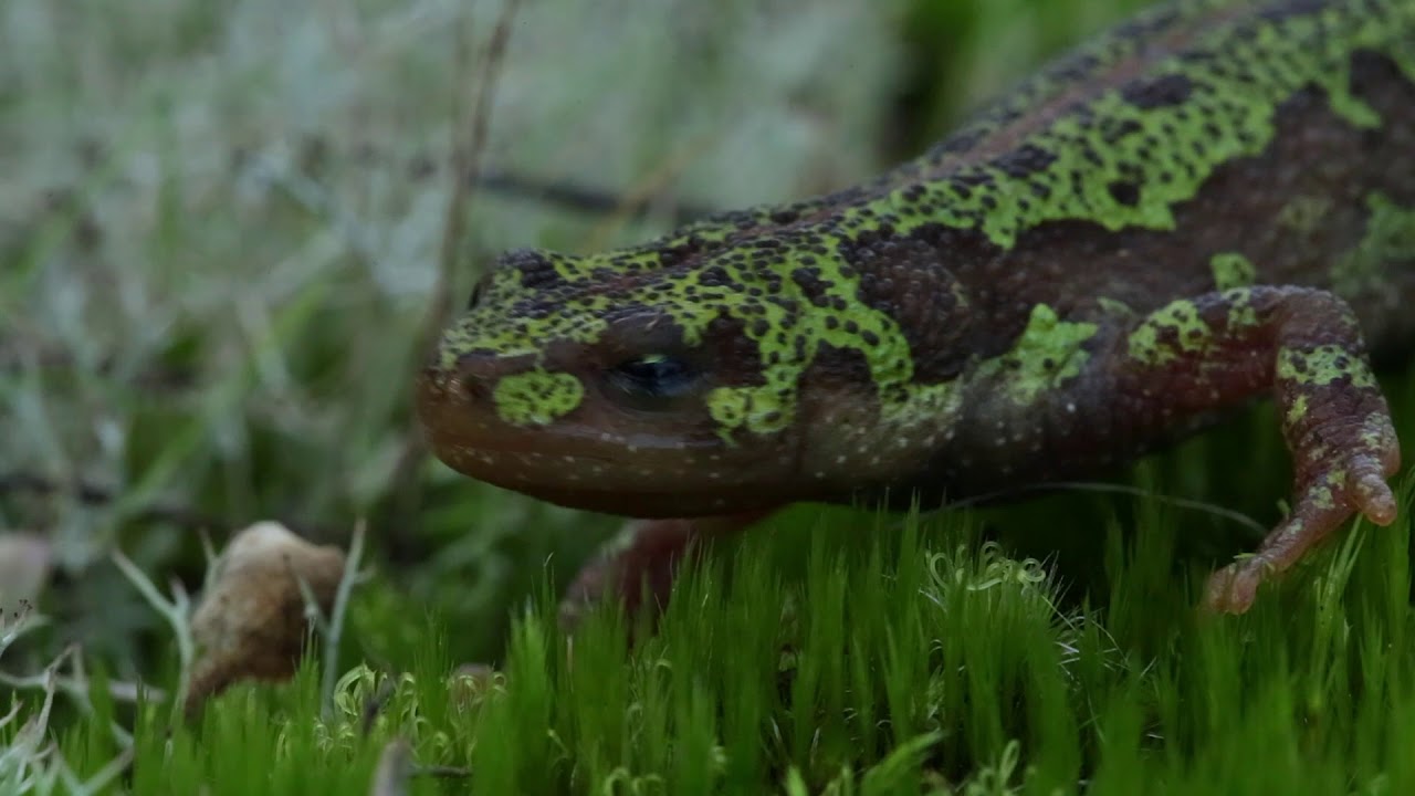 “Encontro D’Águas – Segredos da Ria e do Baixo Vouga Lagunar”