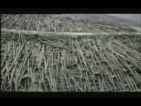 Vulcani   ( Documentario )