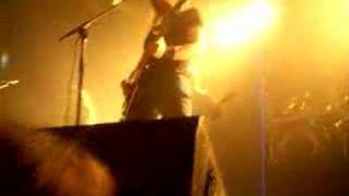 The Old Dead Tree - Even If