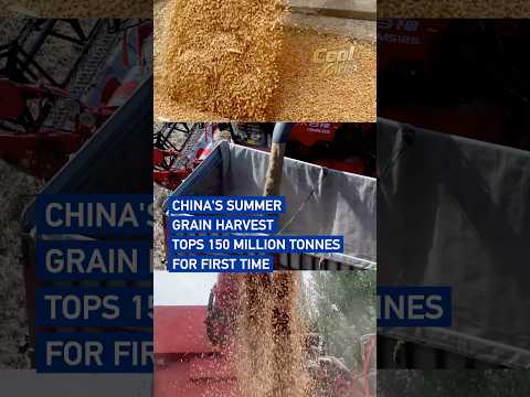 China's summer grain harvest tops 150 million tonnes for first time