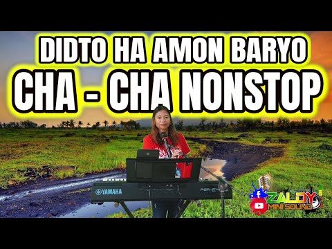 DIDTO HA AMON BARYO CHA - CHA NONSTOP 2025 - SAYAWAN NA! ARLIN CASTILLO FT. ZALDY MINI SOUND