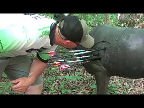 My Best 3D Score Ever?!?!?! ASA London KY