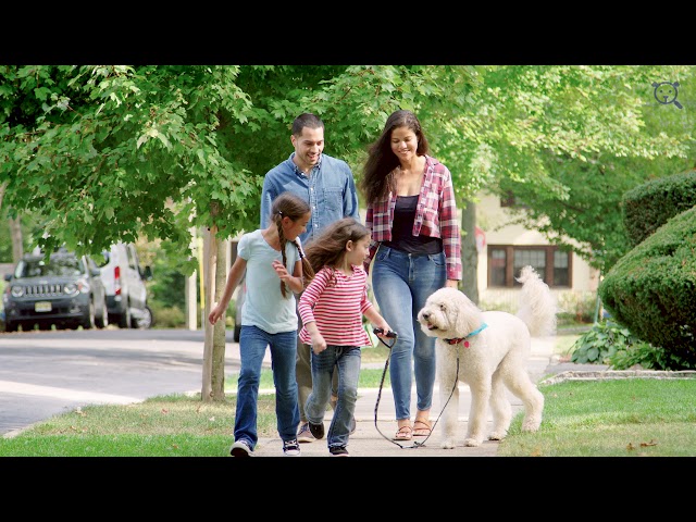 About PetScreening