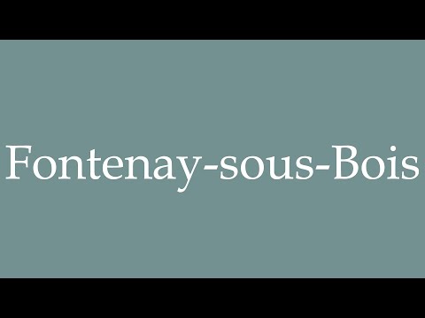 How to Pronounce ''Fontenay-sous-Bois'' Correctly in French
