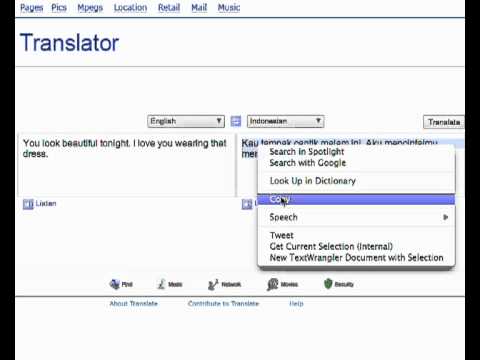 ⁣The Online Translation Experiment, Indonesian