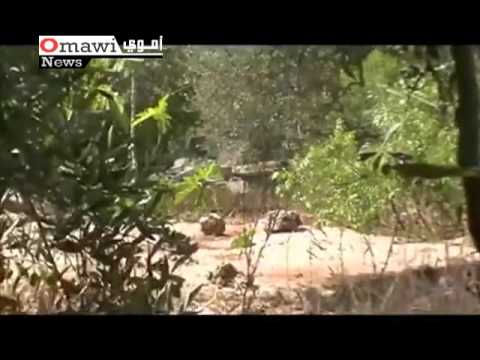 اشتباكات بين عناصر كتيبة سيد الشهداء وقوات النظام في البارة