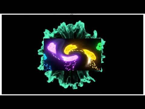 CASHBACK  x P4TTY - Vpřed (OFF. VIZ)