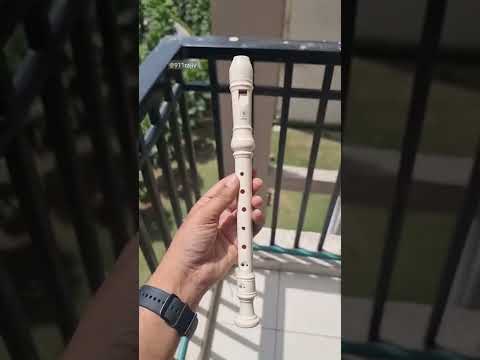 Yamaha Flute - YRS 24 Recorder #shorts #yamaha #flute