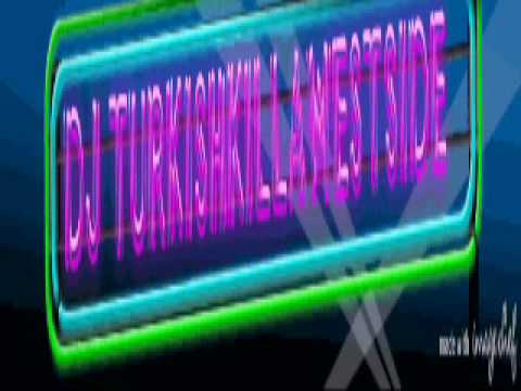 DJ TurkishKillaWeStSide vs.Hadise feat.Eylem - Fast Life Aman (Remix)