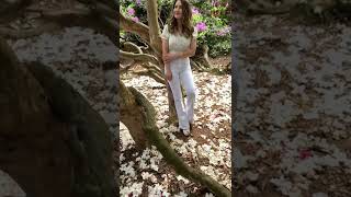 Flower paradise at Temple Newsham Estate #travel #traveluk #leeds #romanian #romanianvlogger #uk