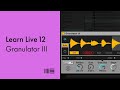 Video 13: Granulator III