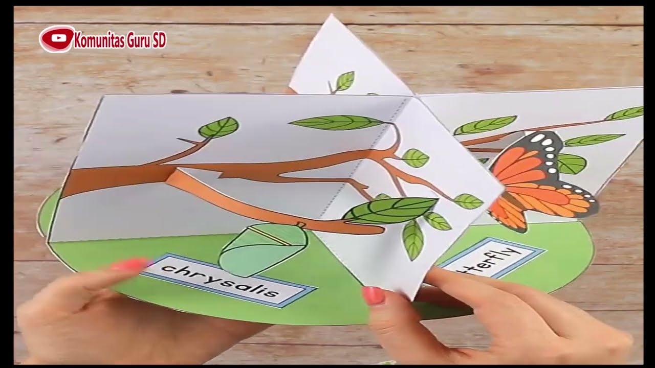 Download Template/Bahan Membuat Diorama Siklus Hidup Kupu-kupu 3D