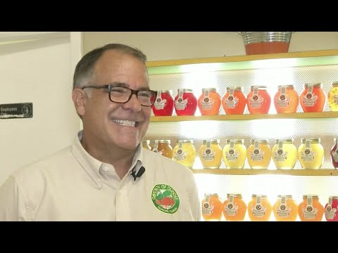 download lagu mp3 mp4 Floridas Best Peanut Brittle Bites, download lagu Floridas Best Peanut Brittle Bites gratis, unduh video klip Floridas Best Peanut Brittle Bites