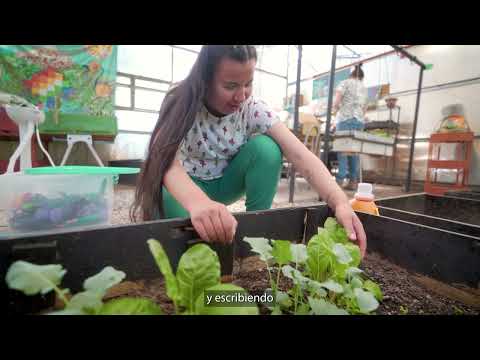 Koslan - Escuela Juan Sandoval Carrasco