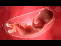 Pregnancy Music to Make Baby Move  | Relaxing Soothing Music For Pregnant Women