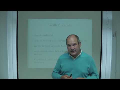 Nervensystem Anatomie 1